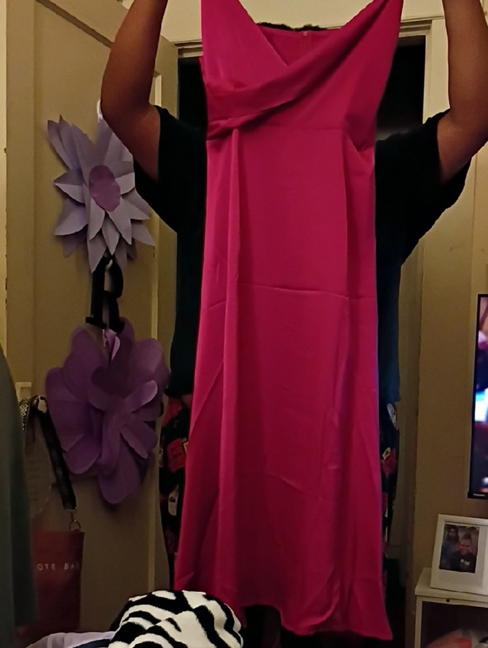 Women’s Pictorial Carmine Pink Sleeveless Dress